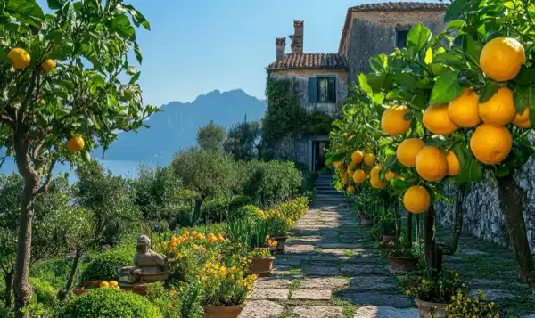 Volcano Clean Fragrance-Capri Blue Type - Clean Fragrances